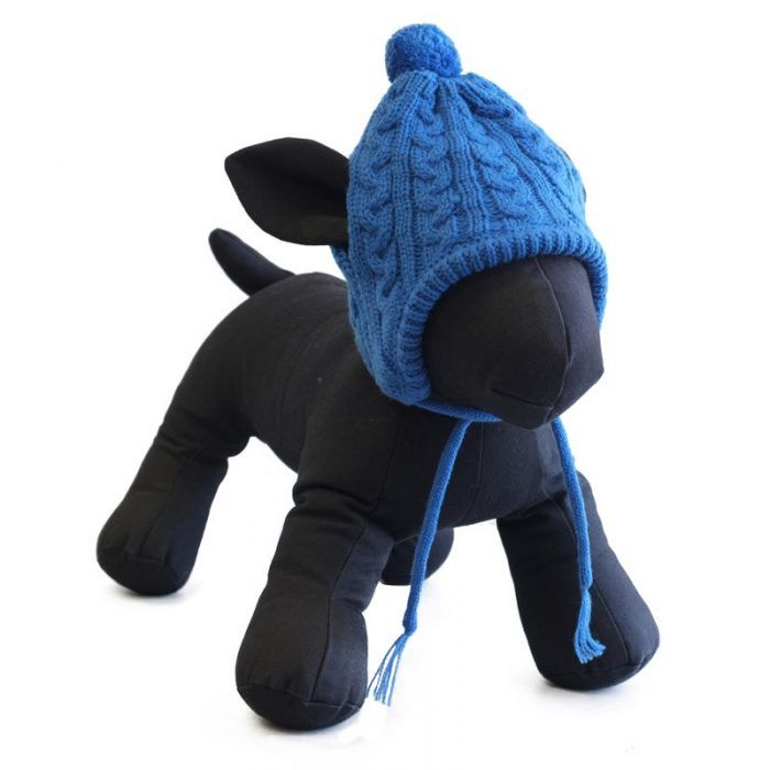 Dog-Hat-Toboggan-Blue