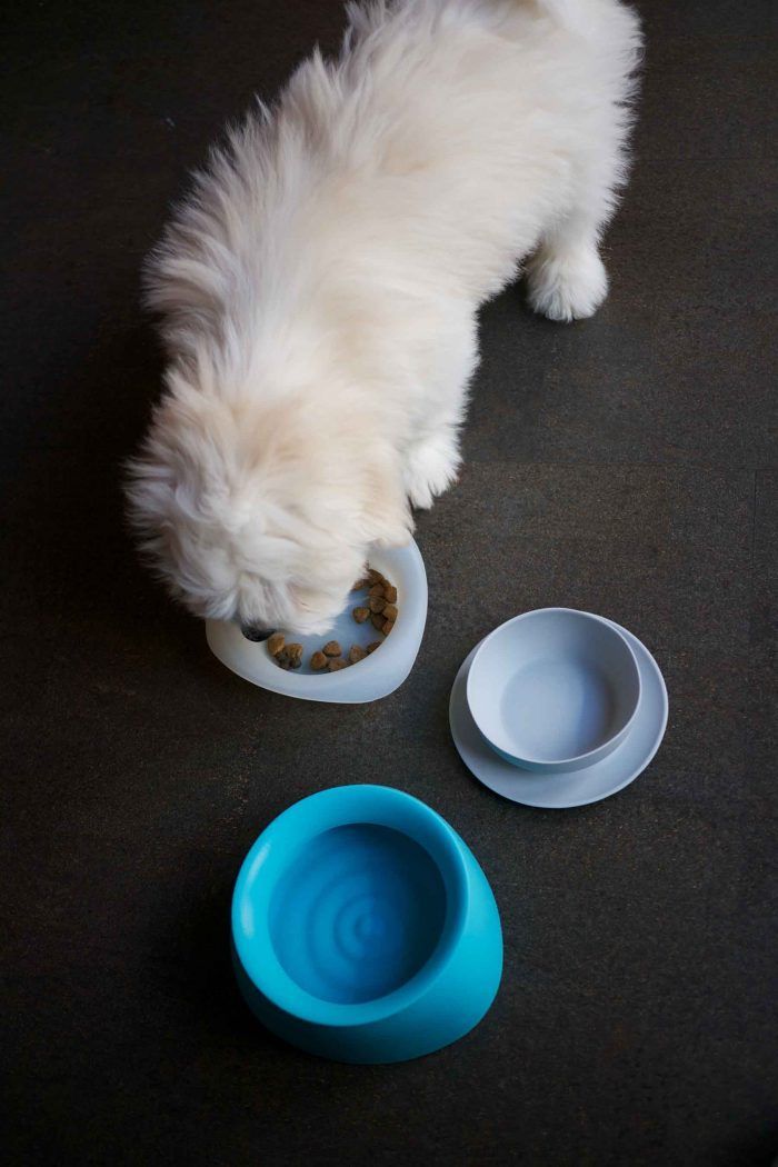 yummy travel dog bowls