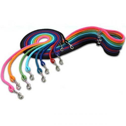 yellow dog braided dog leash lead