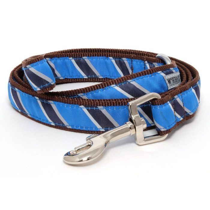Worthy Dog Prep School Blue Dog Lead, Leash,
