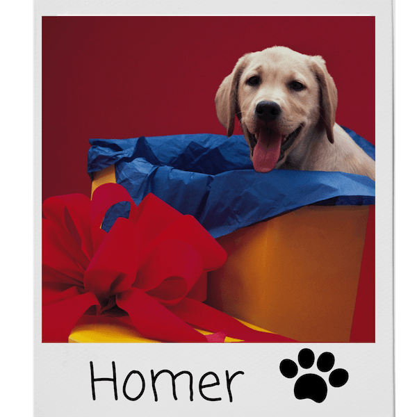 Returns are simple with 3 boys