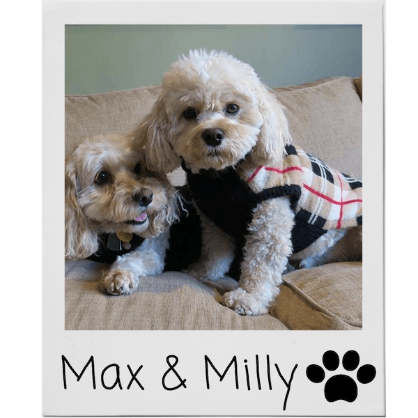 Plaid dog sweater