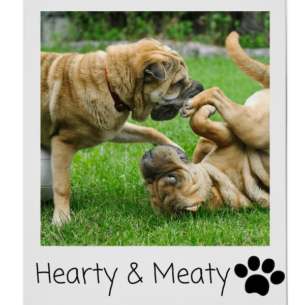 privacy for your pup Our Website Privacy Policy