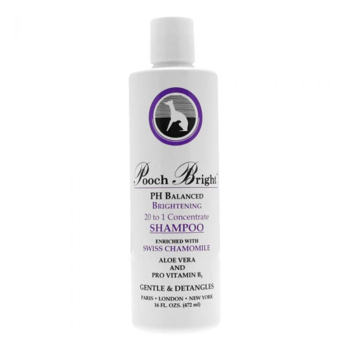 Dog Shampoo - Whitening-Brightening DOG Shampoo Dogs made with the Finest Ingredients / 20:1 Concentrated - Long Lasting and Whitens Dogs Coat - Les Pooch (16 OZ)
